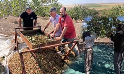 Diyarbakır’da üreticiden çiftçiye çağrı: Arazinizin bir bölümünü fıstığa ayırın