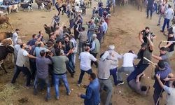Diyarbakır’da hayvan borsasında ortalık karıştı: Taşlar ve sopalar havada uçuştu