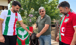 Amedspor lider oldu, taraftar kurban kesti