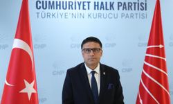 CHP Diyarbakır İl Başkanı Eke: Silahlar susarken, Türkiye ne konuşacak?