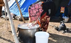 Organik tereyağı Şırnak'ın yaylalarından sofraya