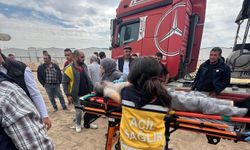 Park halindeki Tırın içinden ölü çıktı