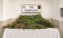 Diyarbakır’da uyuşturucu operasyonu: 29 şüpheli hakkında işlem