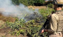 Diyarbakır’da 64 tim ve 570 personelle operasyon