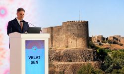 Diyarbakır’a Gelen 1000 Pediatri Uzmanı hayran kaldı!