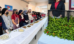 Tescilli Çermik biberinden 41 farklı lezzet çıkardılar