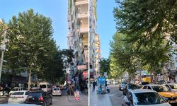Diyarbakır’da 500 metrelik caddede kavak isyanı: 4 yıldır budanmayı bekliyor!