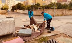 Sağlıklı bir şehir için her gün 240 ton çöp toplanıyor
