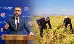 Karacadağ Pirinci üreticisi isyanda; Üretiyoruz ama bize bir şey kalmıyor
