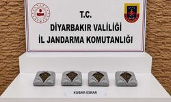 Diyarbakır’da 57 bin 702 kök kenevir ele geçirildi
