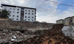 Diyarbakır’da fare istilası: Sürü gibi dolaşıyorlar