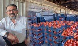 Diyarbakır’da tarlada ucuz, markette pahalı: Hal esnafı isyan etti