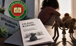 Diyarbakır Barosu'ndan çocuk cinayetlerinde ürküten rapor; Çoğu 5 yaşın altında