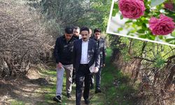 Diyarbakır Gül Kokacak
