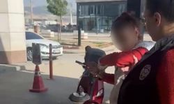 Acımasız kadın kediye taşla vurdu