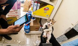 Dicle Üniversitesi yerleşkesinde kedi kurtarma operasyonu