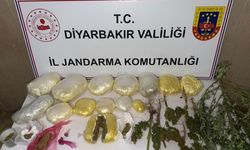 Diyarbakır'da kapsamlı narkotik operasyonu: Çok sayıda gözaltı