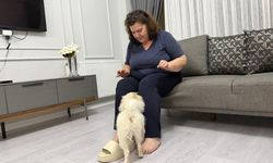 Mardinli aile yanlış köpek mağduru oldu