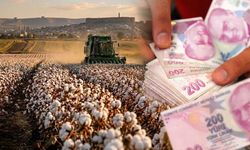 Diyarbakır’da 2026 pamuk ve mısır hasat ücretleri belli oldu