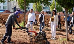 Diyarbakır’da yeni park çalışması: Ahmed Arif Parkı’nda neler yapıldı?