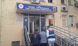 Diyarbakır’da 29 yıl hapis cezası bulunan şahıs yakalandı