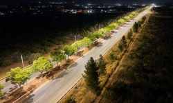Dicle Elektrik’ten Şanlıurfa’nın havalimanı yoluna dev yatırım