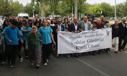 Diyarbakır’da Dünya Yaşlılar Günü için anlamlı yürüyüş