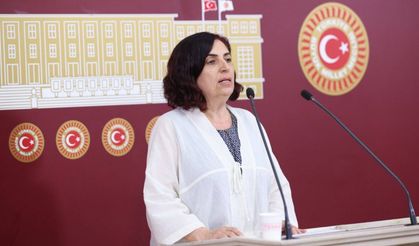 DEM Partili Çelenk'ten randevu krizine ilişkin soru önergesi