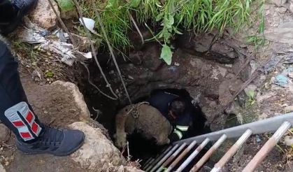 Diyarbakır’da bir koyun kuyuya düştü