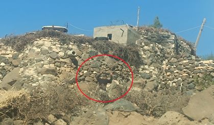 Mardin’de aileler arasında kanlı kavga: 4 yaralı, 17 yıl hapis cezalı şüpheli firarda