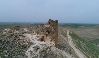 Tarihin durduğu nokta: Zerzevan Kalesi