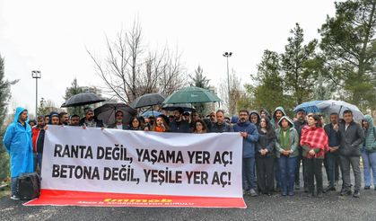 Diyarbakır’da yeşil alan açıklaması