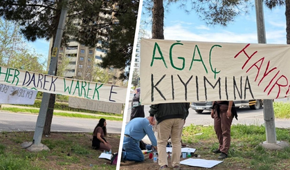 Diyarbakır’da ağaç sökümüne tepki