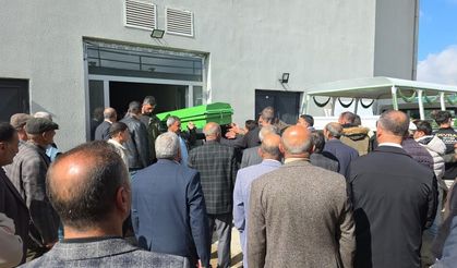 Van’da sokak köpeklerinin saldırısı: 5 yaşındaki Hamza öldü