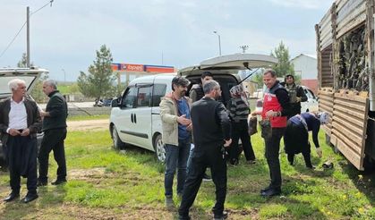 Diyarbakır’da üreticinin yüzü güldü: Ücretsiz fıstık çöğürü dağıtıldı