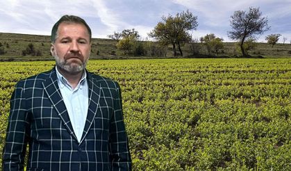 Diyarbakır’dan kritik uyarı!  Yağış buğdaya yaradı, mercimeği bitirdi
