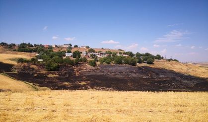 Diyarbakır’da hasat döneminde korkutan risk