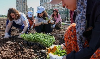 Diyarbakır’da kadınların ortak emeği toprakla buluştu