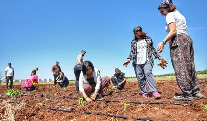 Diyarbakır’da kadınların öncülüğünde tarım komünü kuruldu
