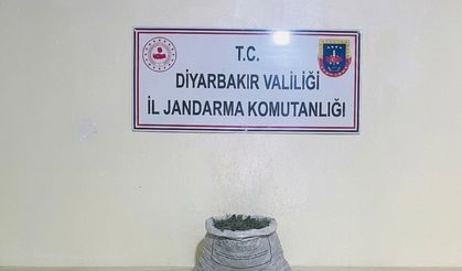 Diyarbakır’da uyuşturucu operasyonu
