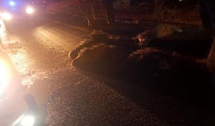 Diyarbakır'da otomobil koyun sürüsüne daldı: 15 küçükbaş telef oldu