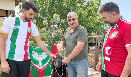 Amedspor lider oldu, taraftar kurban kesti