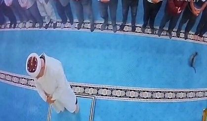 Namaz kılarken kediyi tekmeleyen şahıs gözaltına alındı!