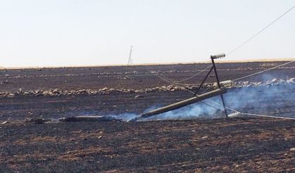 Dicle Elektrik’ten anız yangını uyarısı: 250 direk zarar gördü