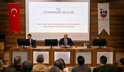 Diyarbakır’da sahipsiz hayvanlar için yeni takvim: 31 Ekim hedefi