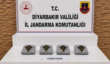 Diyarbakır’da 57 bin 702 kök kenevir ele geçirildi