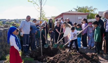 Diyarbakır Bağlar’da yüzlerce fidan toprakla buluştu