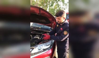 Diyarbakır’da aracın motoruna giren 3 yavru kedi kurtarıldı