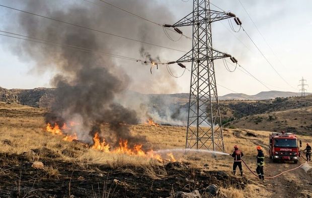 Diyarbakır’da yüksek gerilim hattına çarpan kuş yangına neden oldu