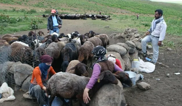 Beritanlılar Ankara’ya çıkarma yaptı